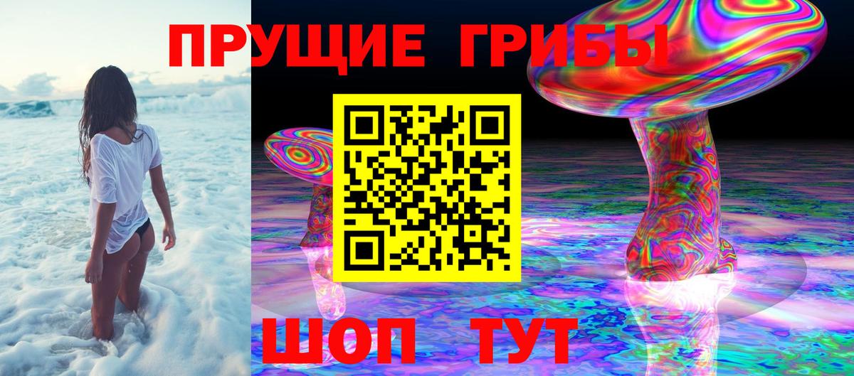 Галлюциногенные грибы Psilocybe Магнитогорск